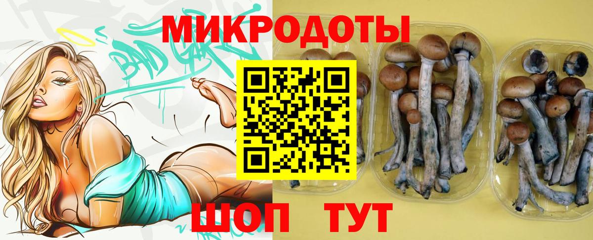 Грязи  Галлюциногенные грибы ЛСД  Вход с VPN 